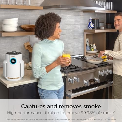 Air Purifier with HEPA Filter, Covers 650 Sq. ft M738