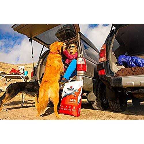Turkey Dry Dog Food V60048