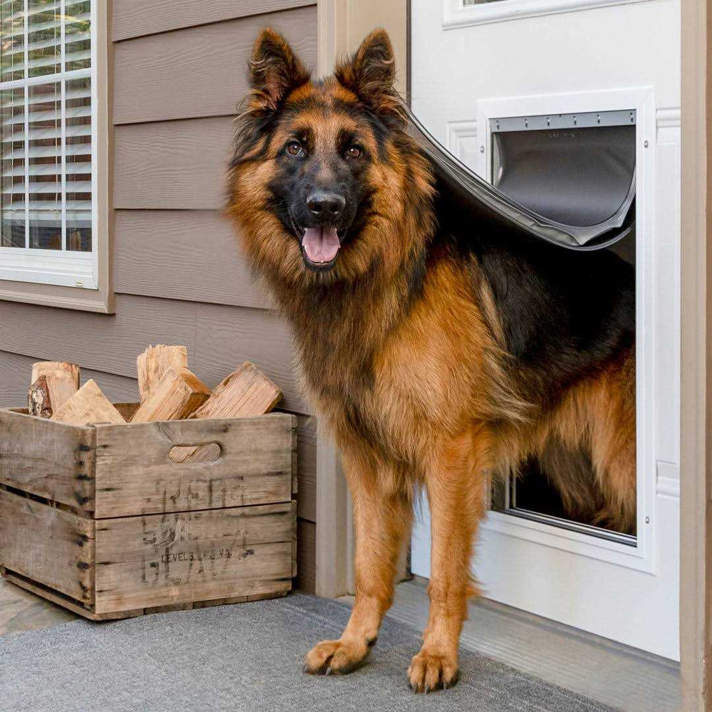 Aluminum Pet Door R409