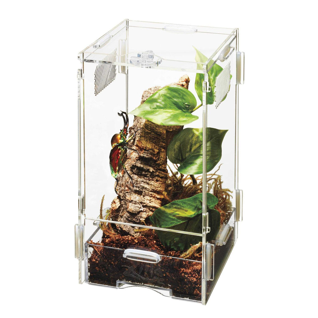 Arboreal Micro Habitat L572