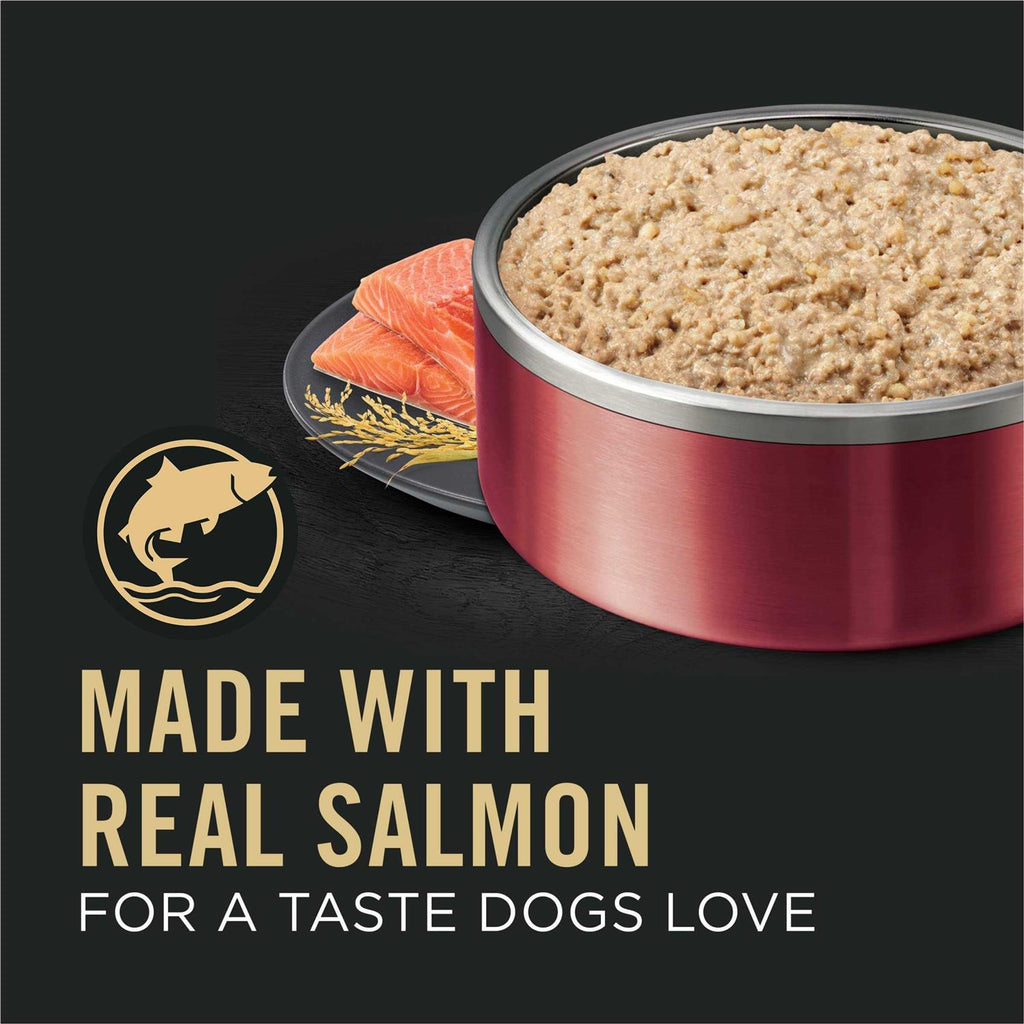 Salmon & Rice Wet Dog Food A796