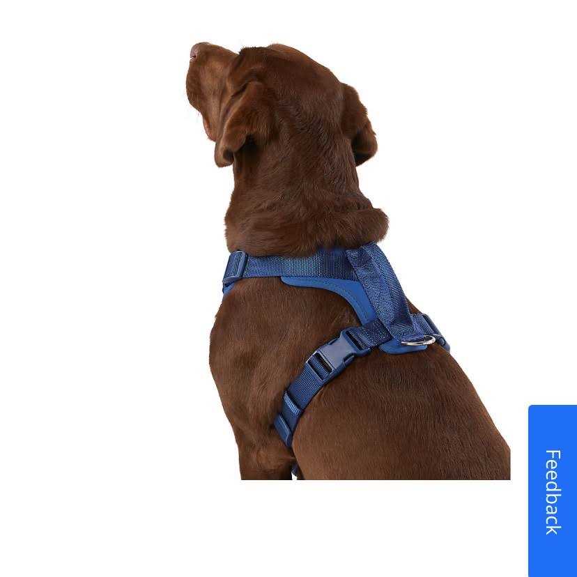 Neoprene Dog Harness O362405