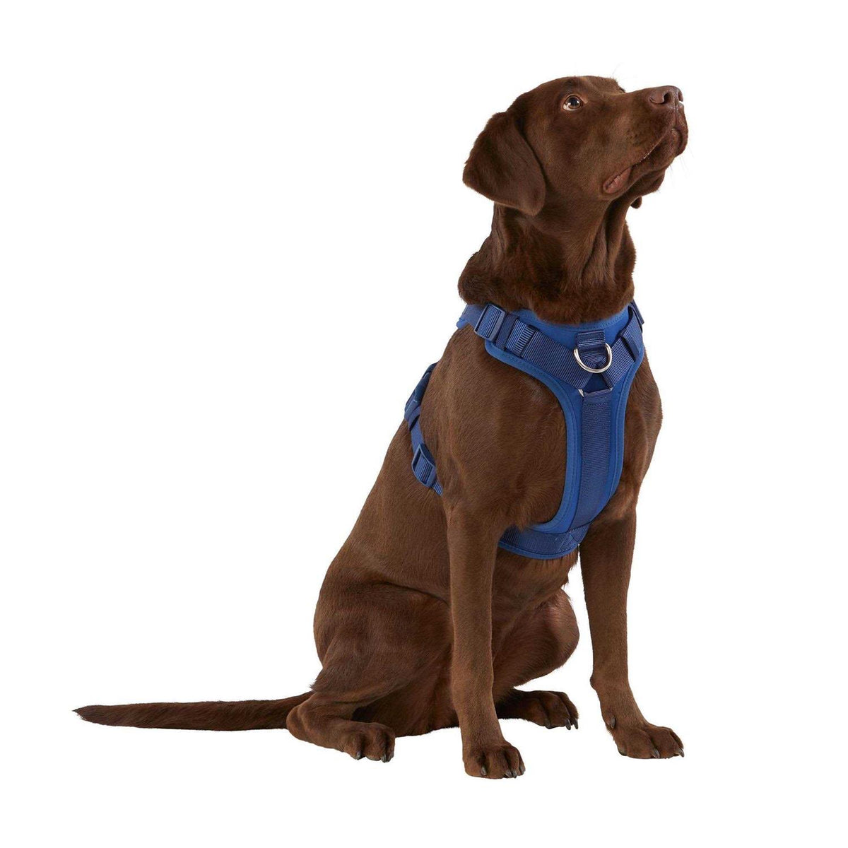Neoprene Dog Harness O362405
