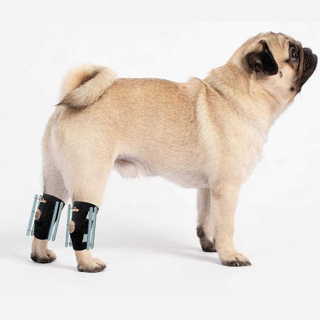 Small Dog Rear Leg Support Splint Braces O24454