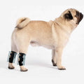 Small Dog Rear Leg Support Splint Braces O24454