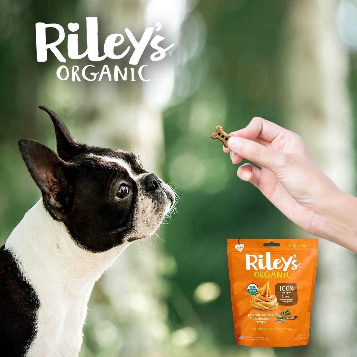 Dog Treats C133141