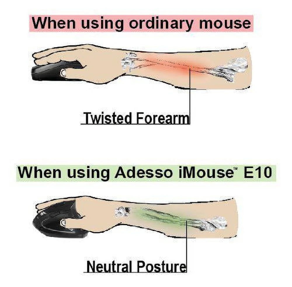 Ergo Mouse R611