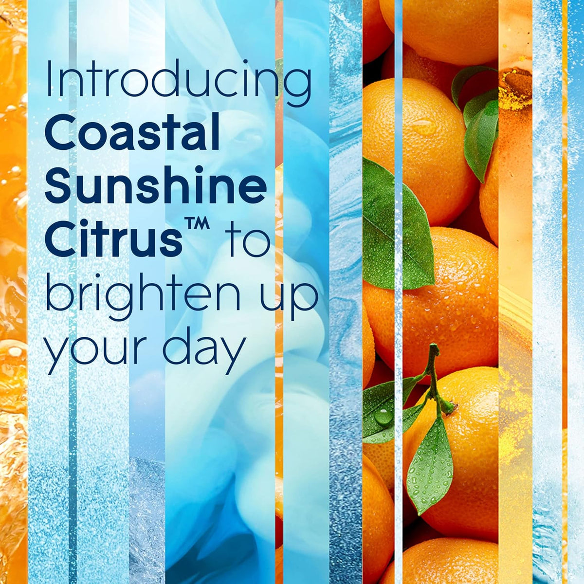 Coastal Sunshine Citrus + Bubbly Berry Splash Automatic Spray Air Fresheners Q776418