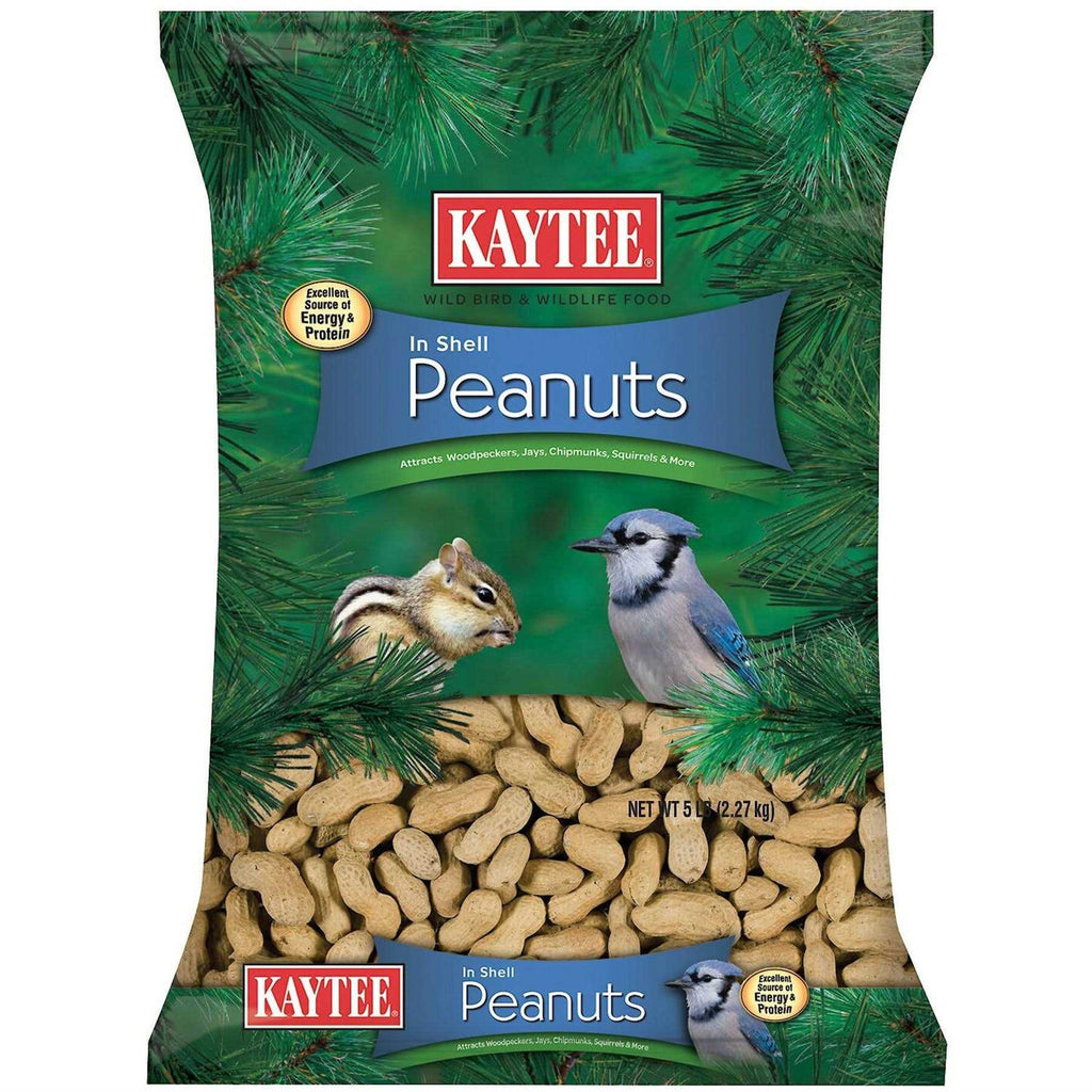In Shell Peanuts Z486