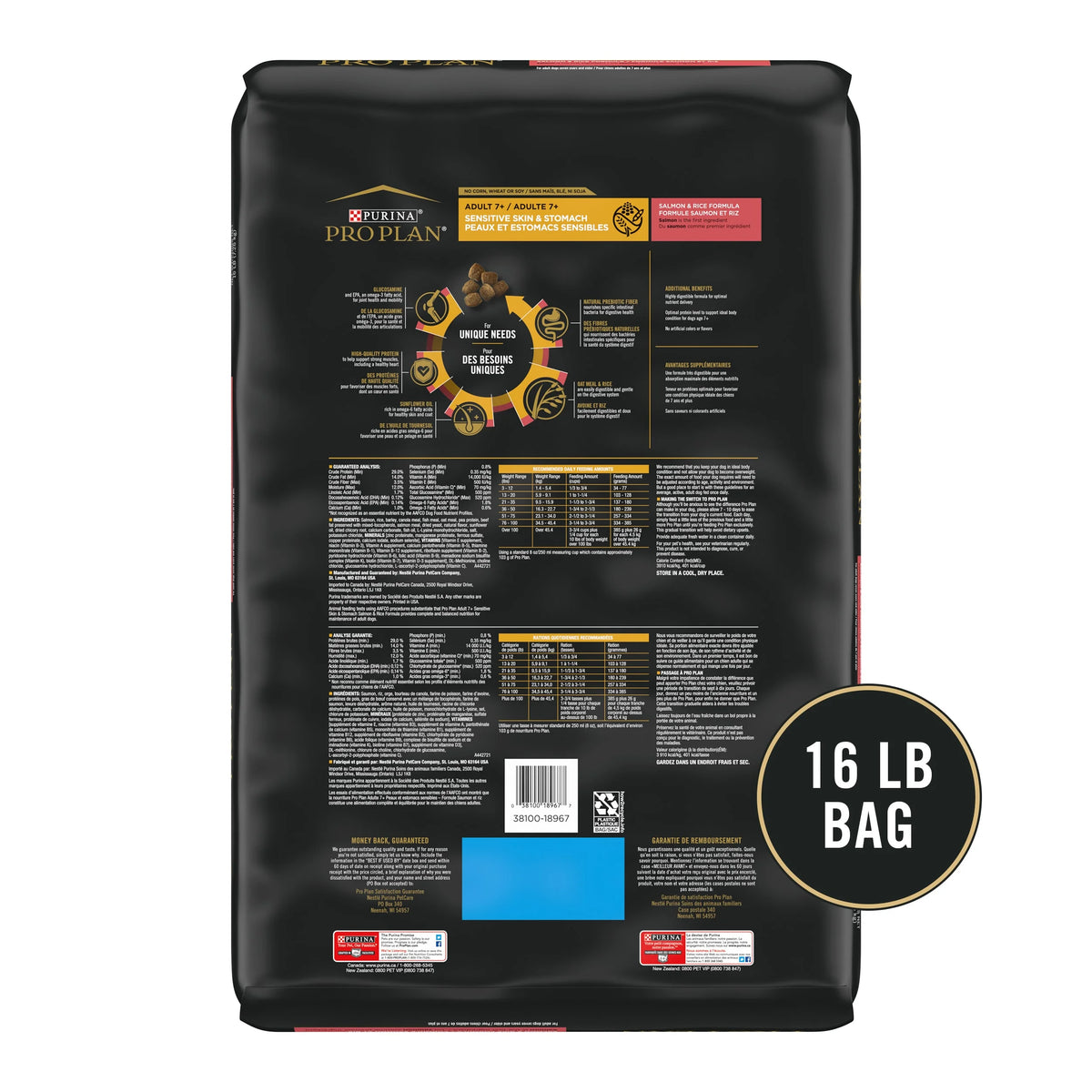 Salmon & Rice Sensitive Skin & Stomach Dry Dog Food 16 lb L259330