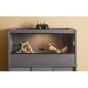 Reptile Lounge B39245
