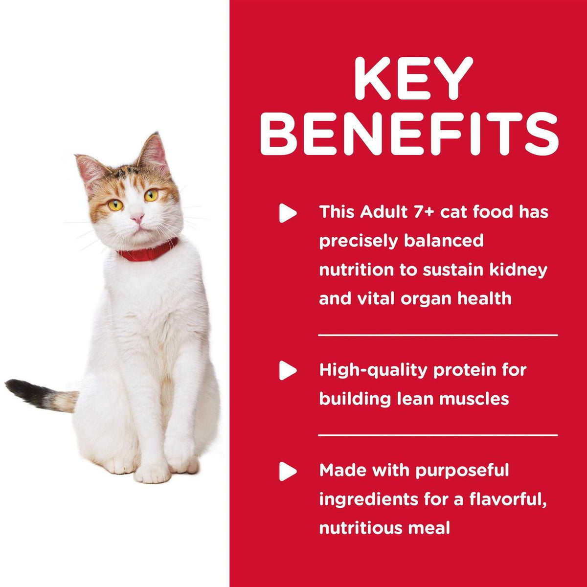 Chicken Cat Food R46252