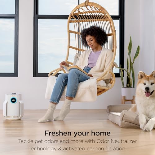 Air Purifier with HEPA Filter, Covers 650 Sq. ft M738