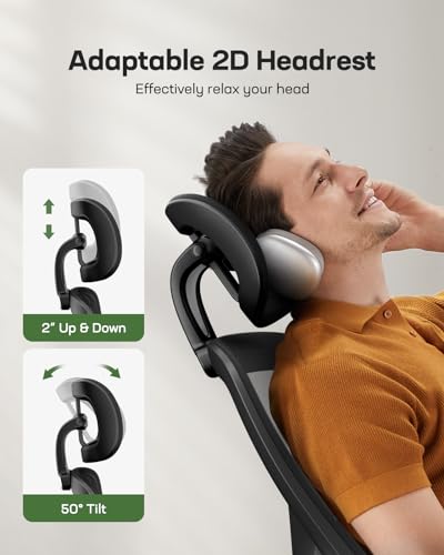 Ergonomic Mesh High Back Desk Chair with Headrest E56607