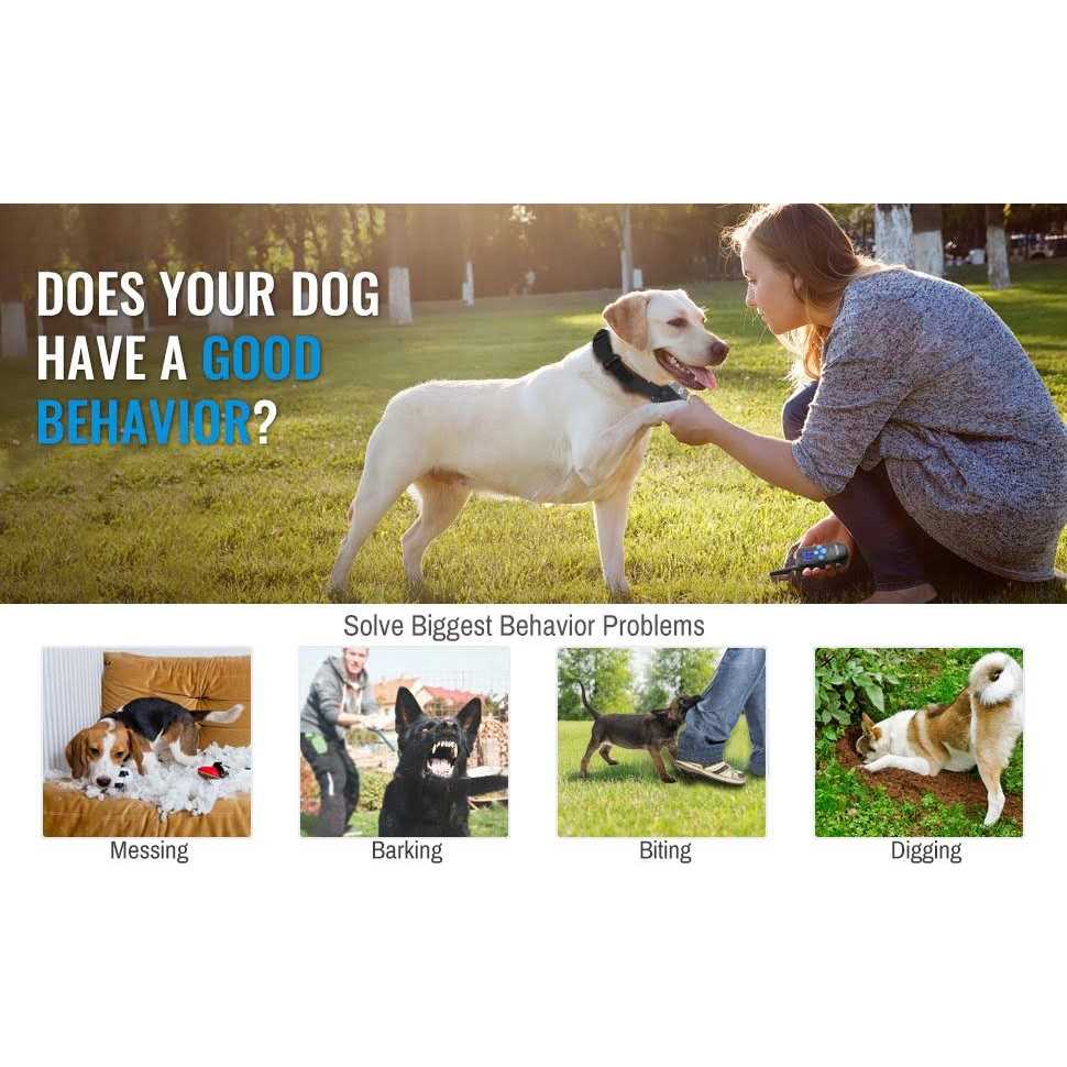 Rechargeable Dog Training Collar with Remote L7463