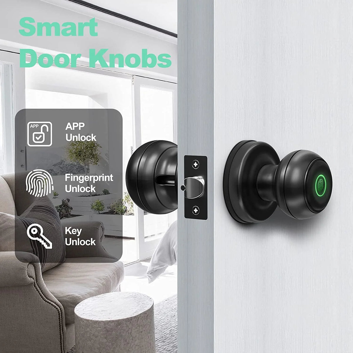 Smart Fingerprint Door Lock with App Control O980689