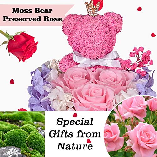 Preserved Rose Moss Bear with I Love You Necklace Roses J858