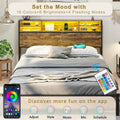 Queen RGB Led Light Metal Platform Bed with Storage Headboard O609