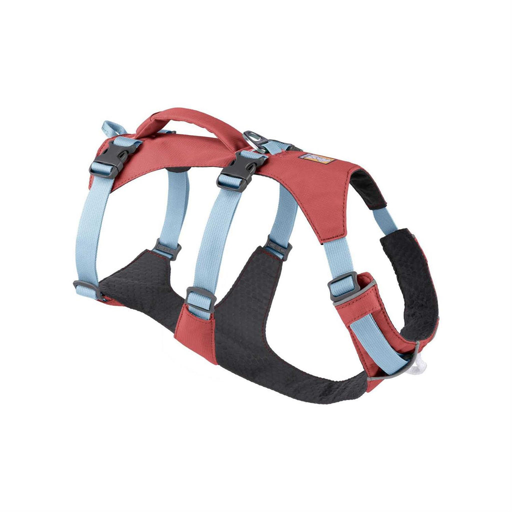 Dog Harness Y494846