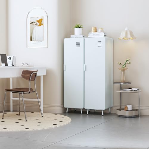 Metal Storage Cabinet with Ventilated Doors F76892