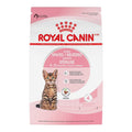 Kitten Dry Cat Food G86963