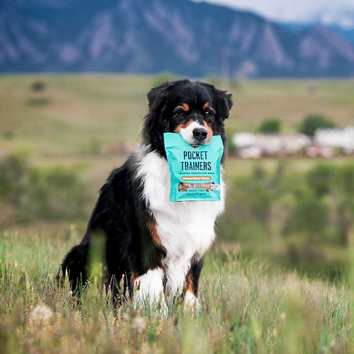 Dog Treats F633