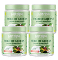 Super Greens Powder Smoothie Mix 4pk V349