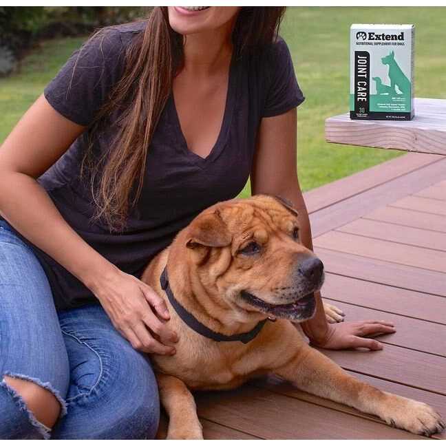 Joint Care for Dogs with Glucosamine MSM & Ascorbic Acid X331527