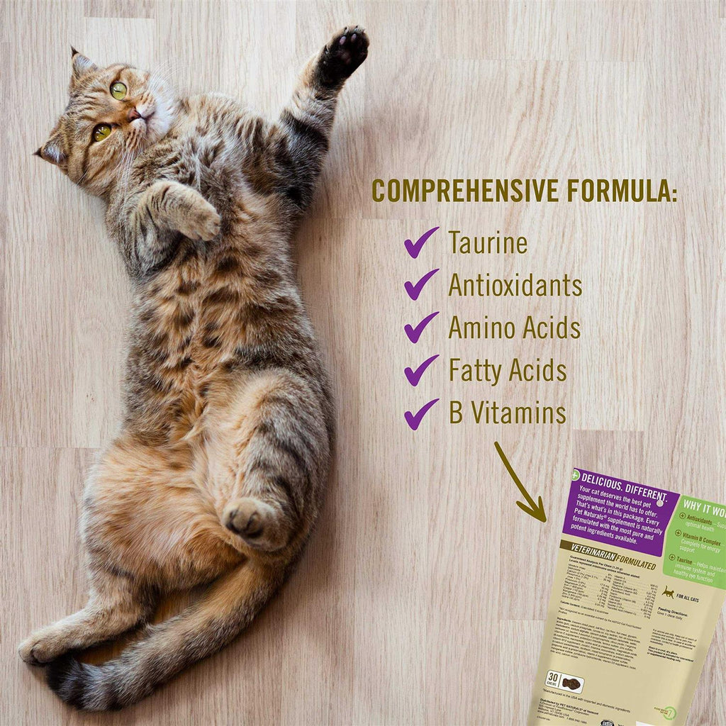 Daily Multi for Cats I928244