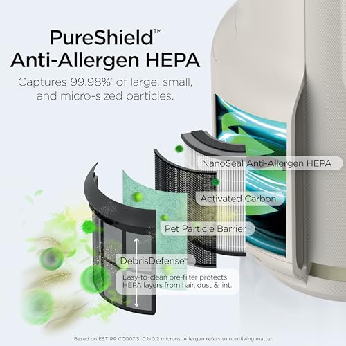 Air Purifier with HEPA Filter, Covers 650 Sq. ft M738