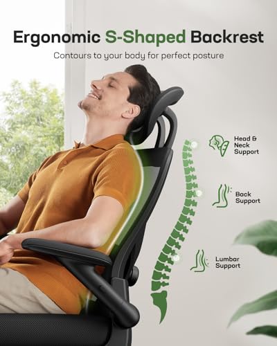 Ergonomic Mesh High Back Desk Chair with Headrest E56607