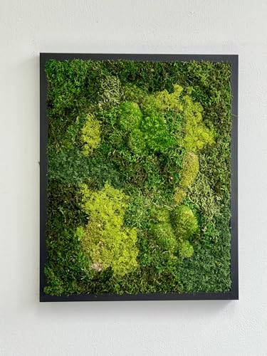31" x 14.5" Black Moss Wall Art D6093