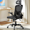 Ergonomic Mesh High Back Desk Chair with Headrest E56607