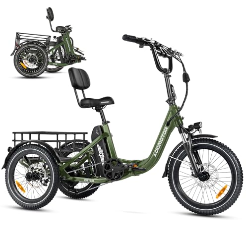 750W Folding Electric Tricycle with 960Wh Battery B2439