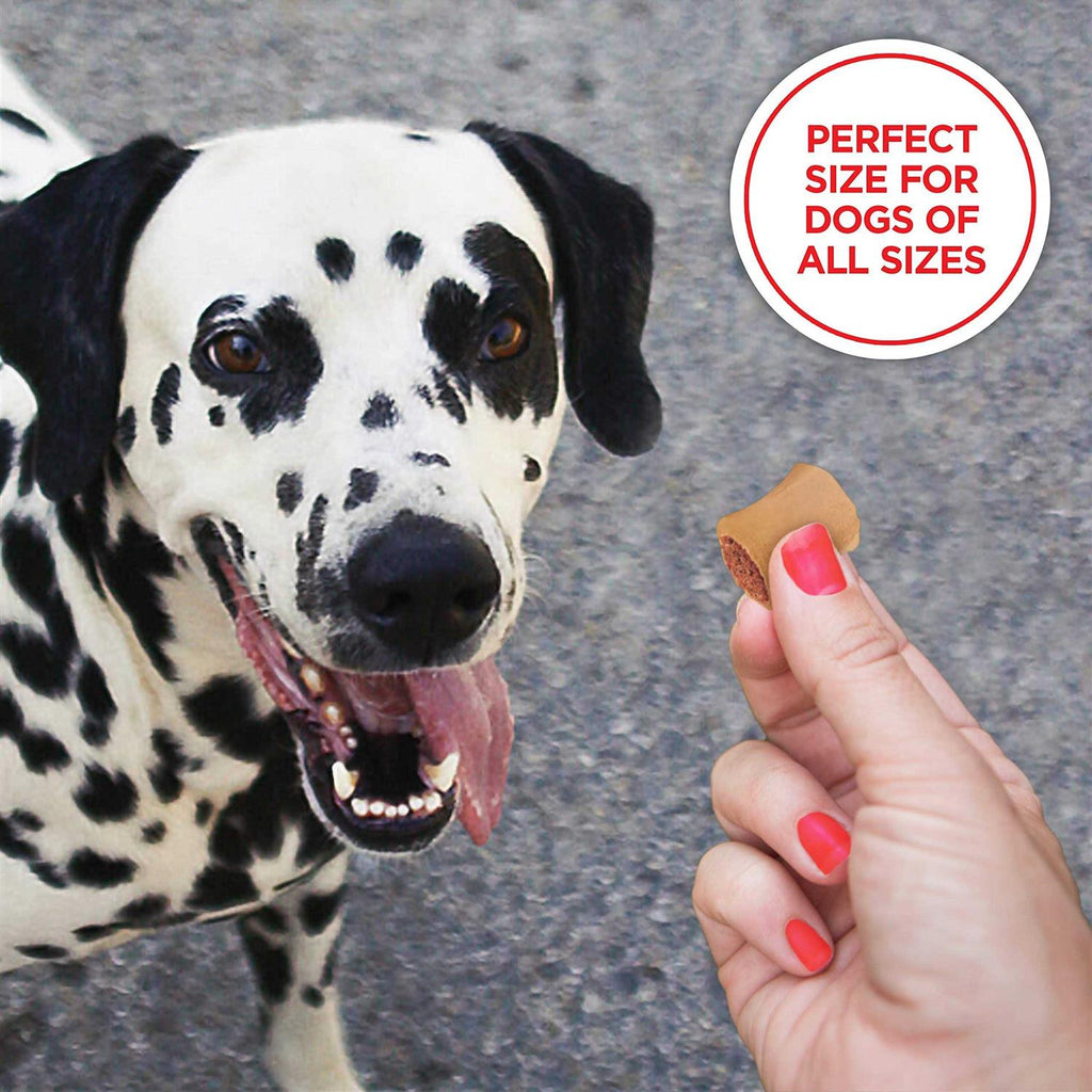 Dog Treats T733222
