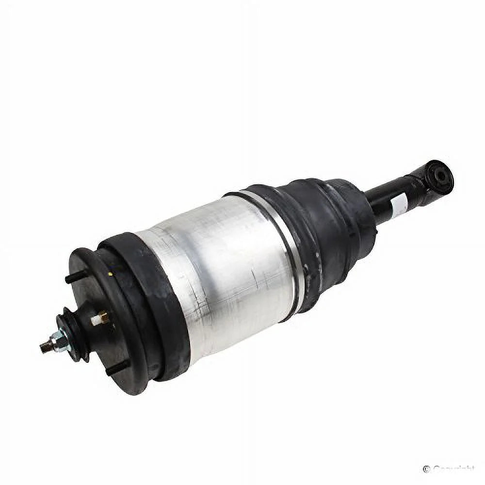 Suspension Strut Assembly G4561