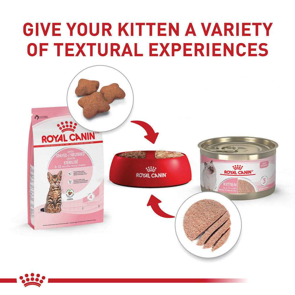 Kitten Dry Cat Food G86963