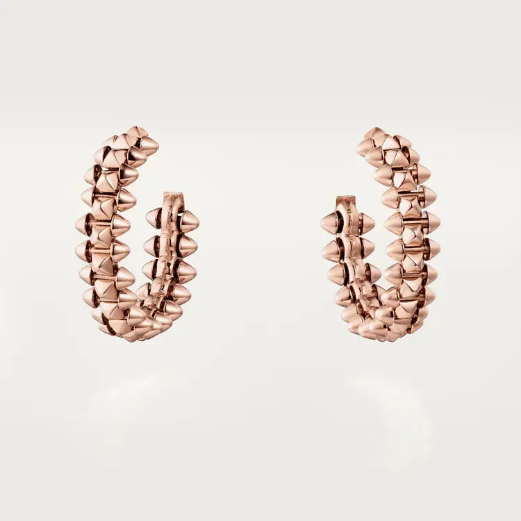 Earrings T522