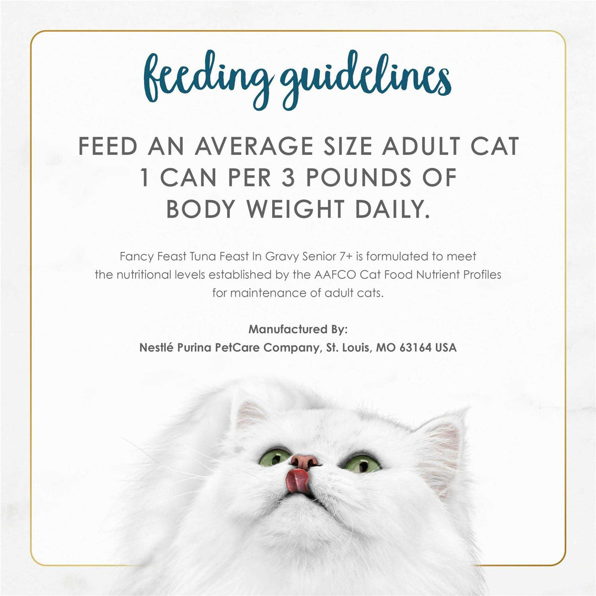 Wet Cat Food T3800