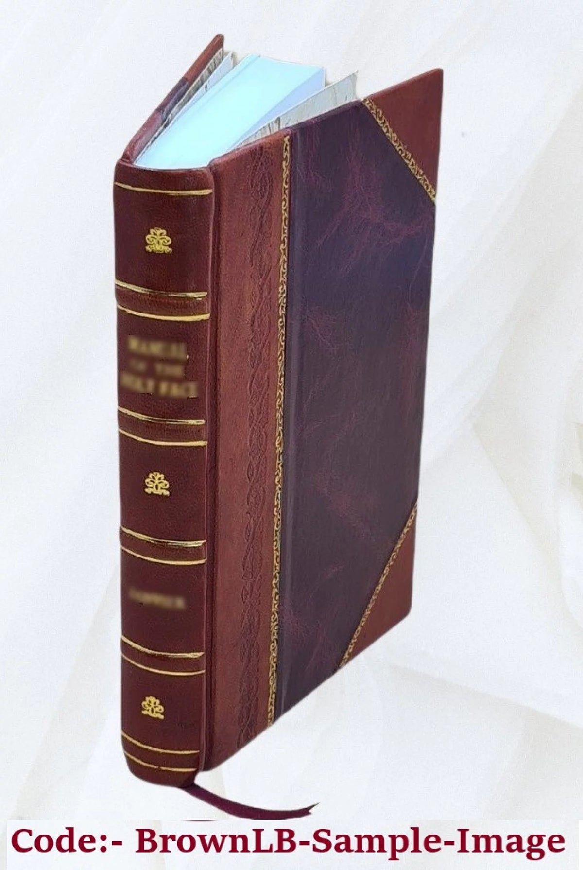 Leather Bound L250278