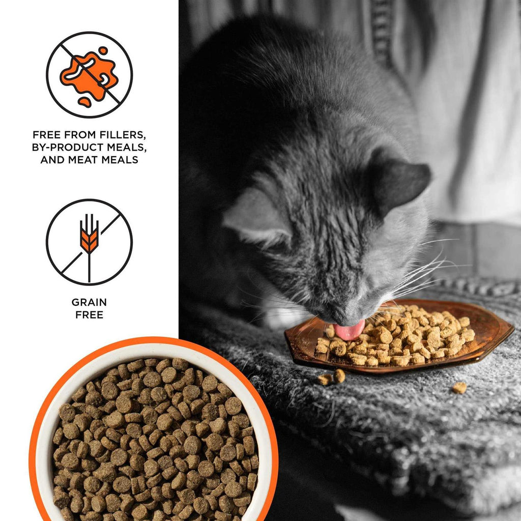 Chicken Recipe Dry Cat Food R9481