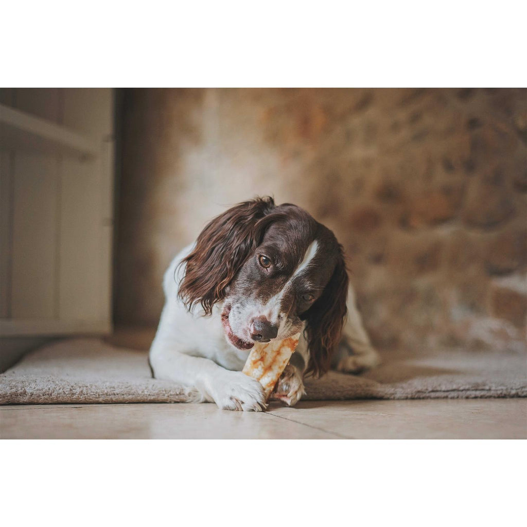 No Hide Peanut Butter X27530