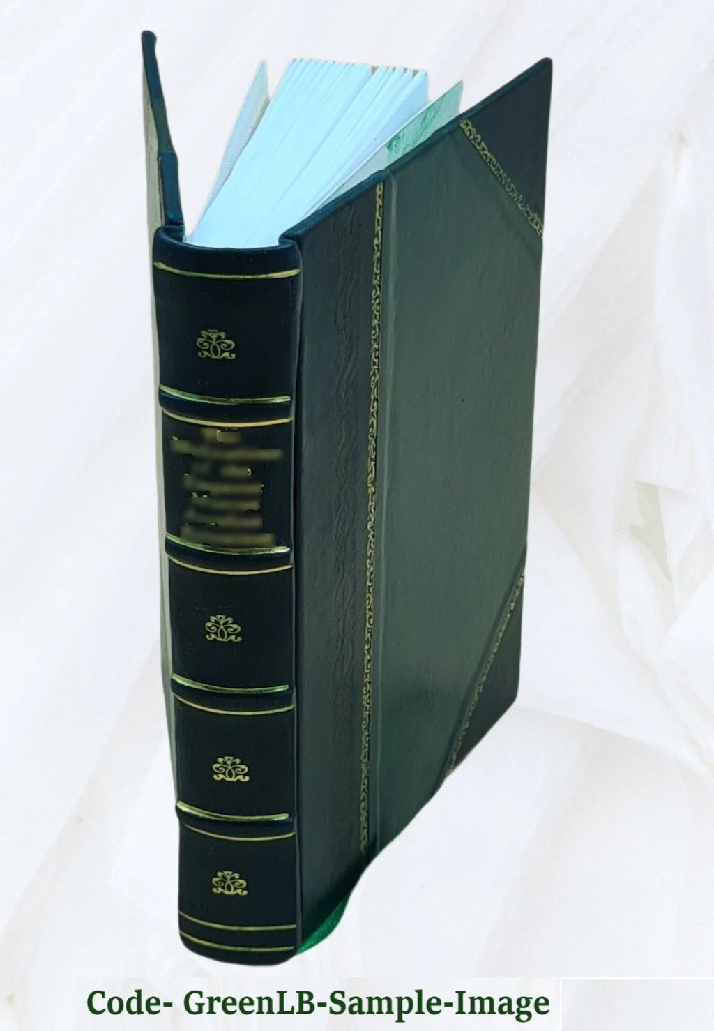 Leather Bound L250278