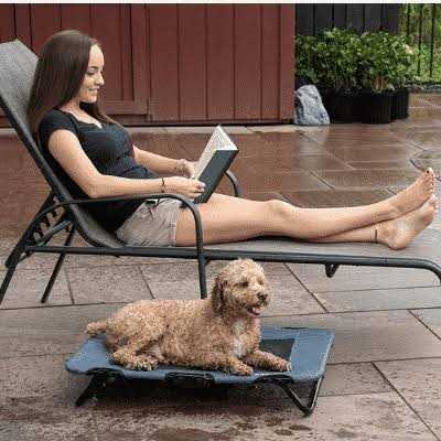 Elevated Pet Cot V898